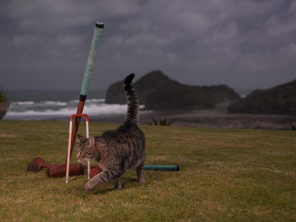 Bethells Beach Cottages Buitenkant foto