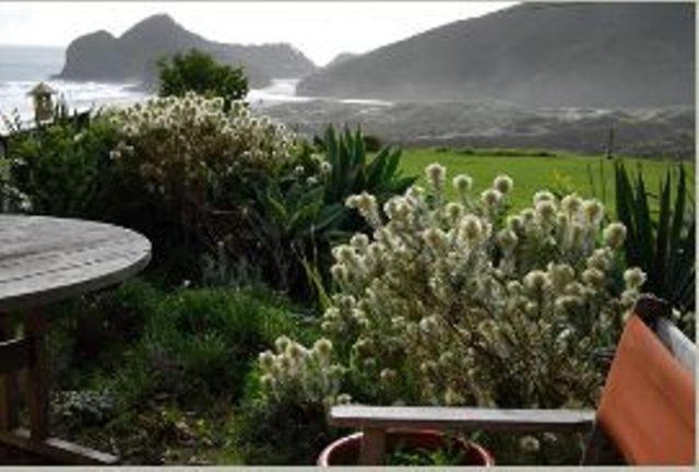 Bethells Beach Cottages Buitenkant foto