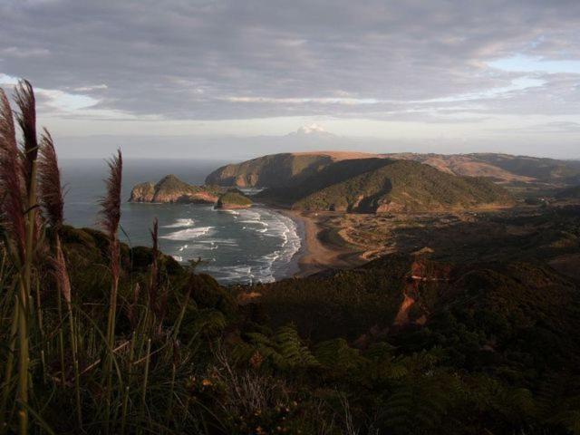Bethells Beach Cottages Buitenkant foto