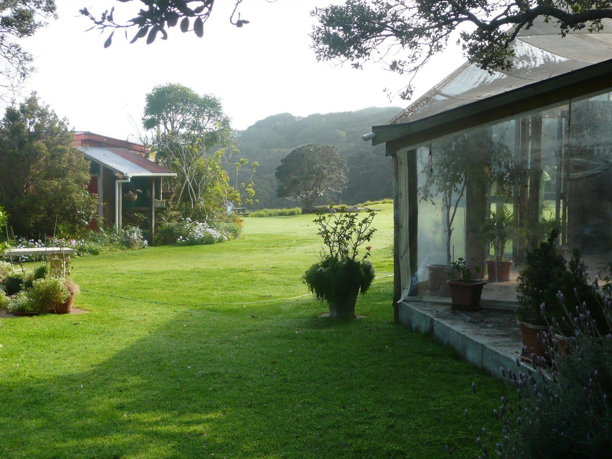Bethells Beach Cottages Buitenkant foto