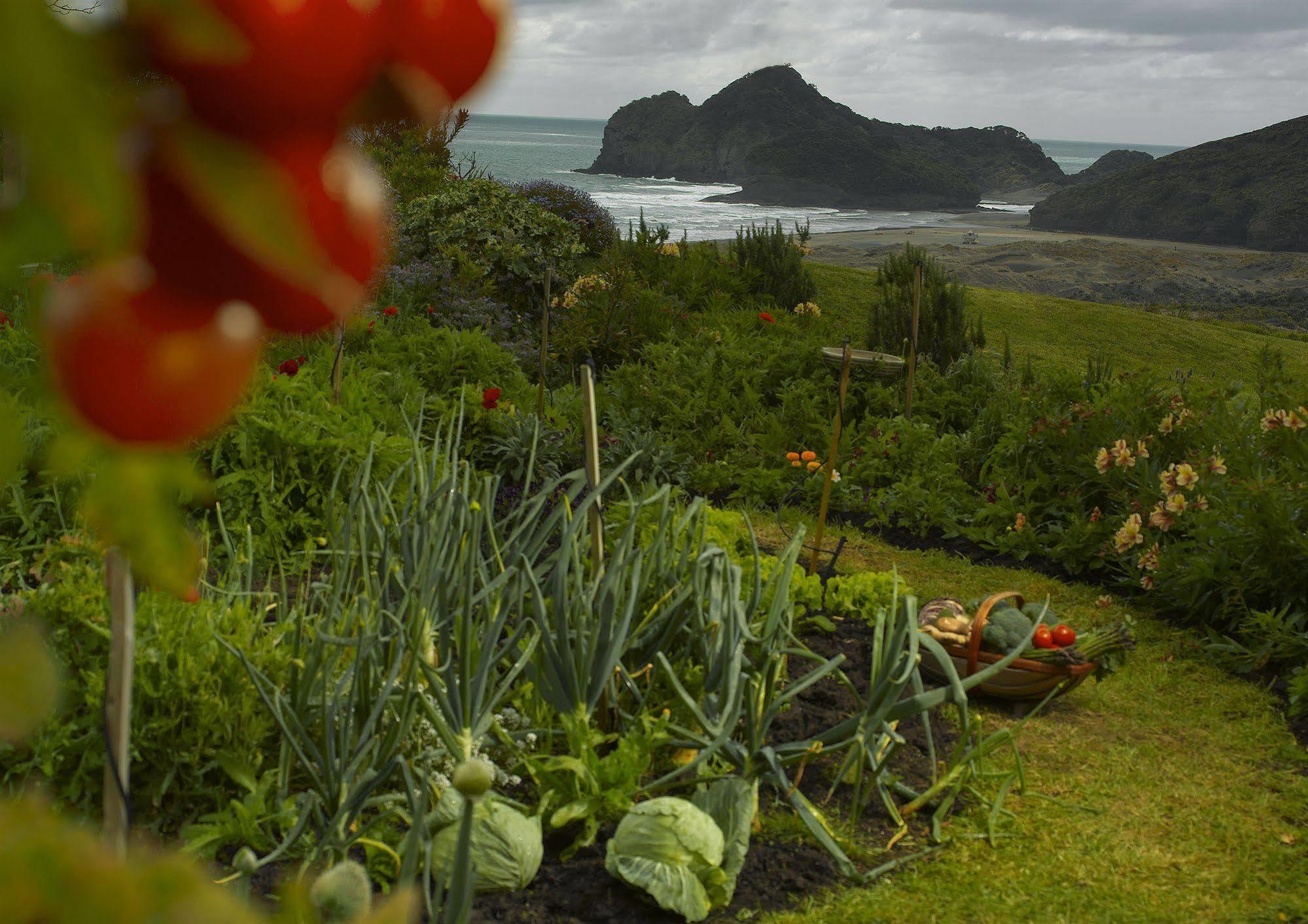 Bethells Beach Cottages Buitenkant foto